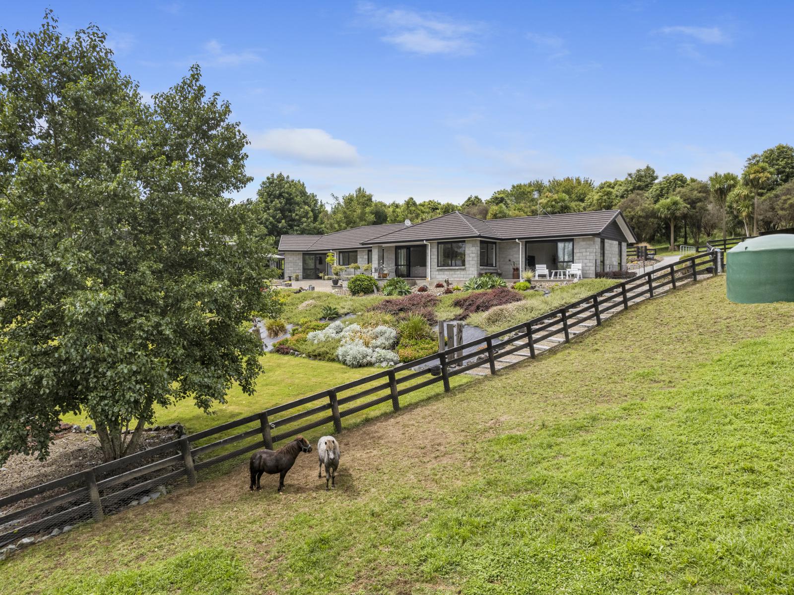 31 Wildwood Lane, Matamata