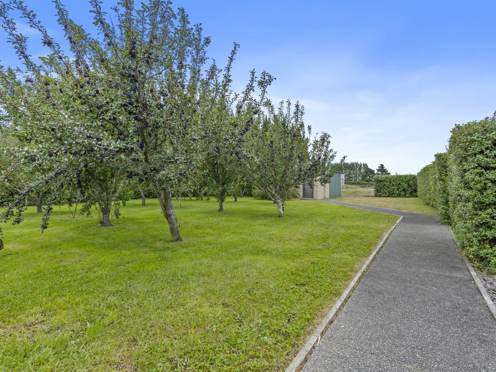 434 Collins Road, Springston