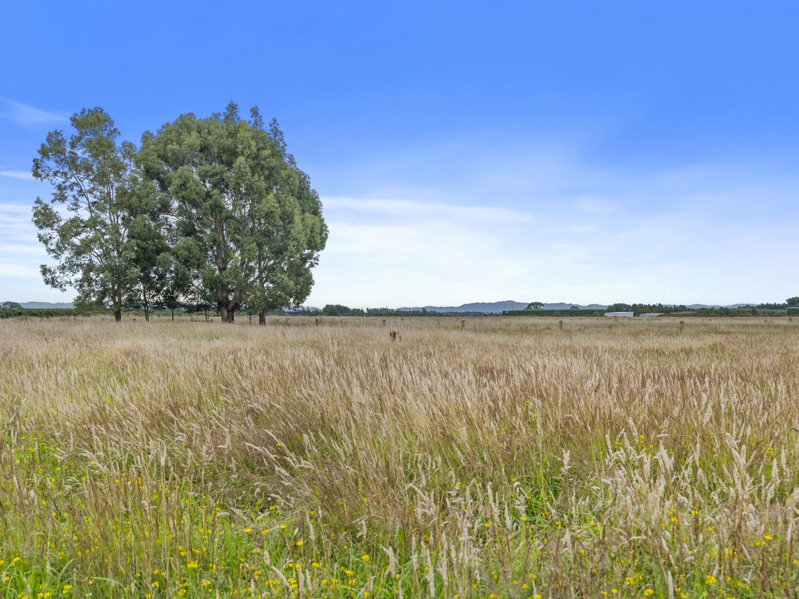 434 Collins Road, Springston