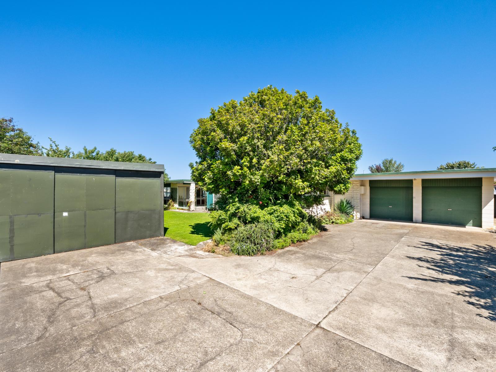 Springlands