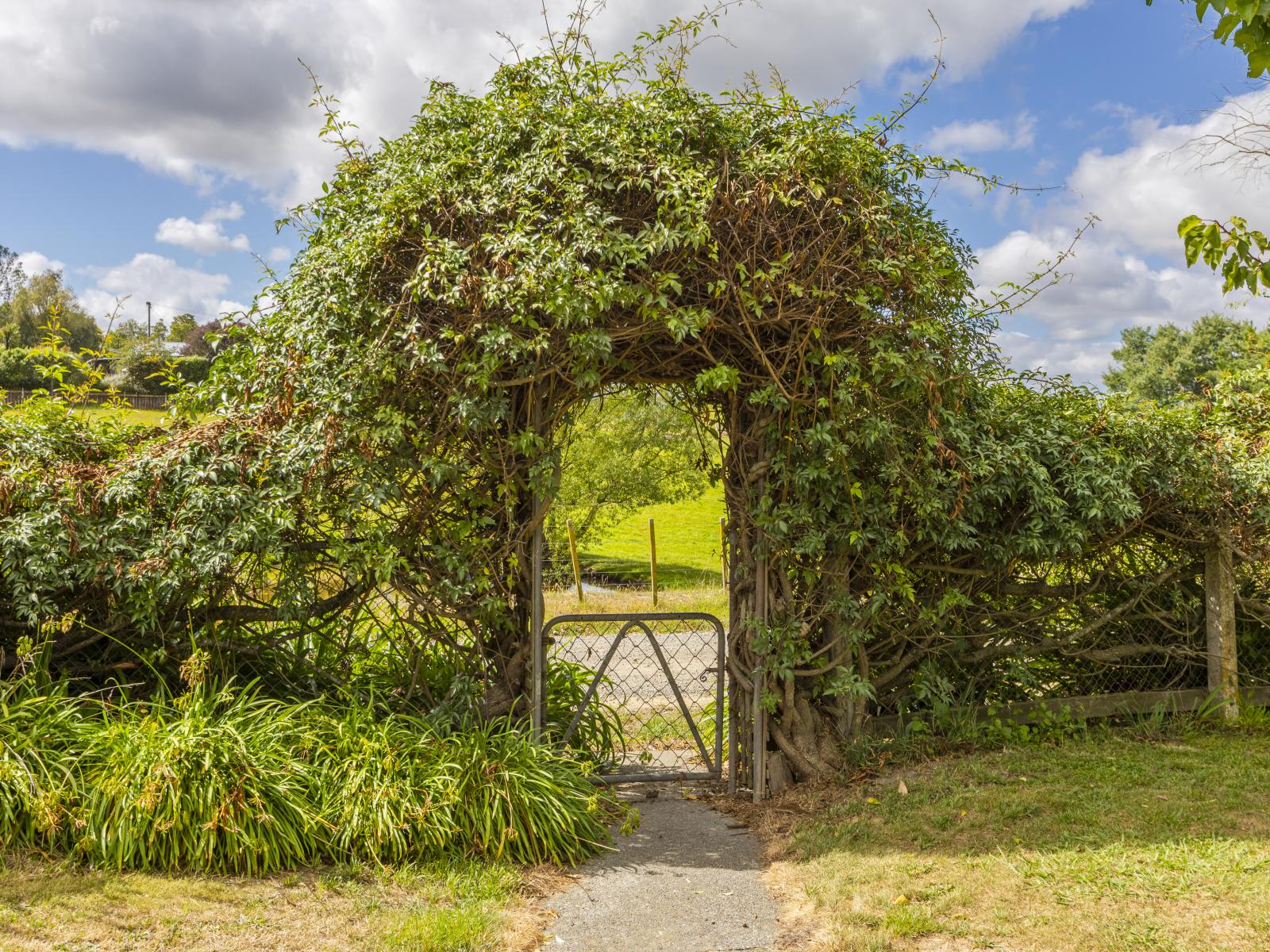 36 Tamumu Road, Waipawa