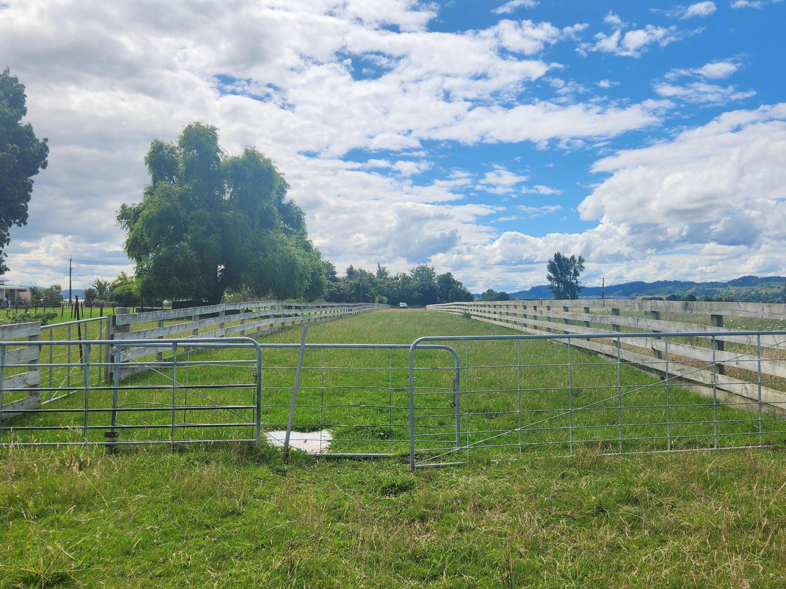 Lot 6 Haisman Road, Makauri