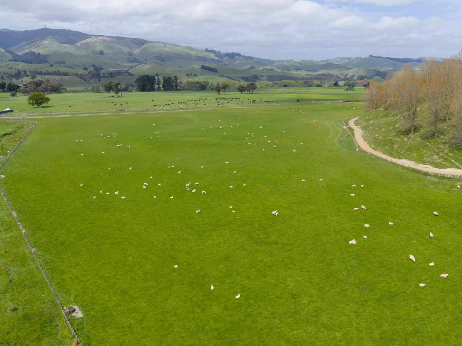 643c Pohangina Road, Ashhurst