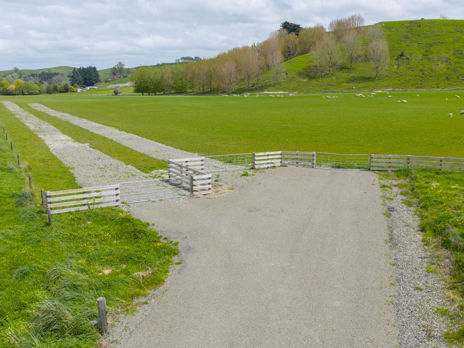 643c Pohangina Road, Ashhurst