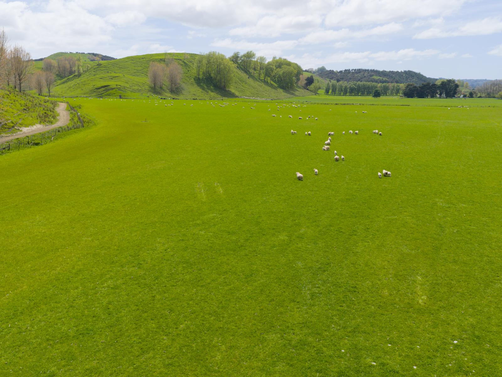 643c Pohangina Road, Ashhurst