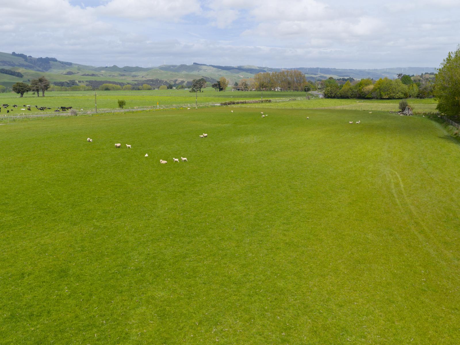 643c Pohangina Road, Ashhurst