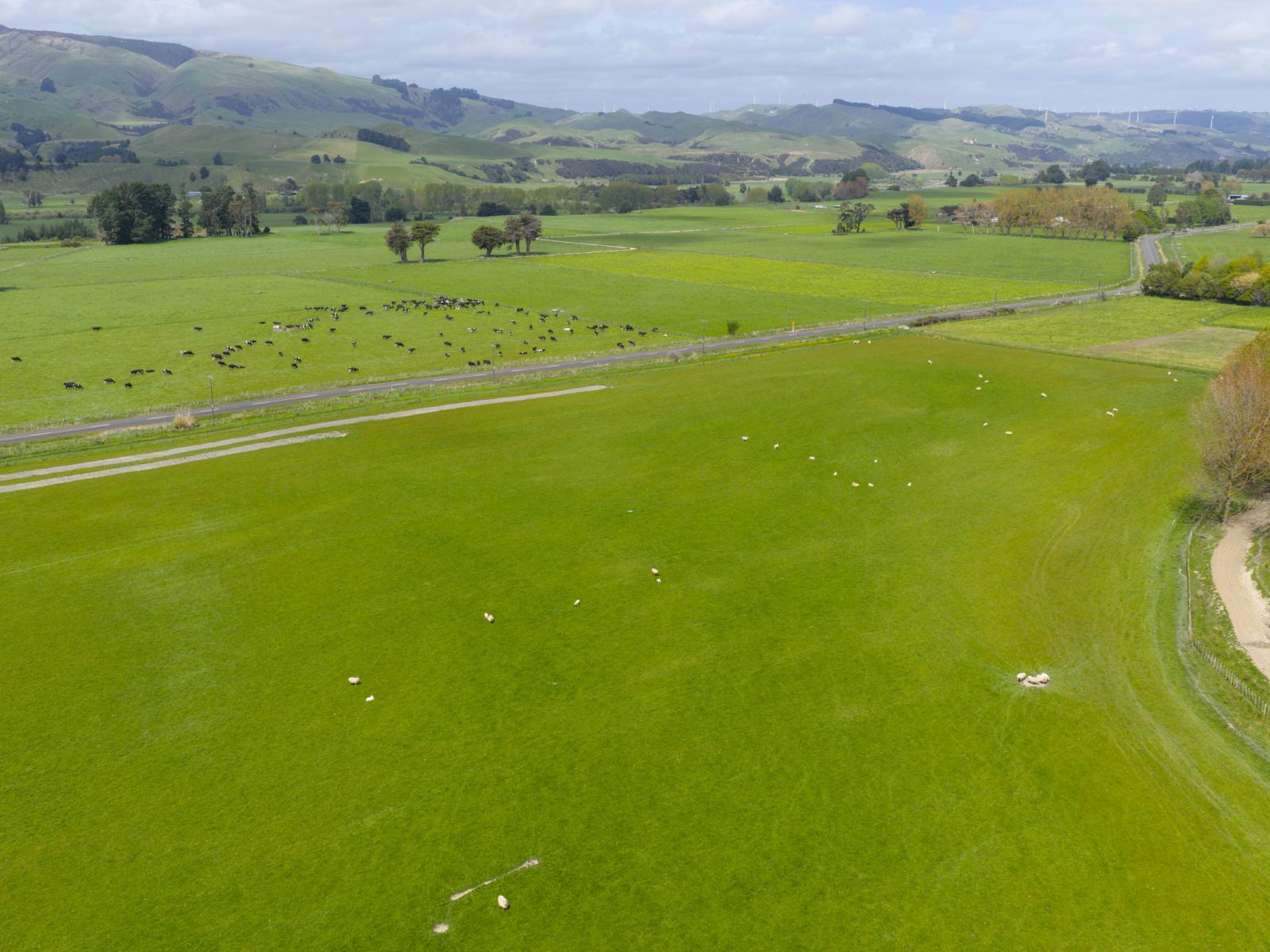 643c Pohangina Road, Ashhurst