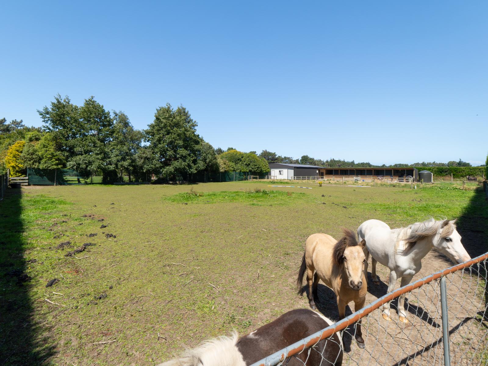 110 Aicken Road, Otatara
