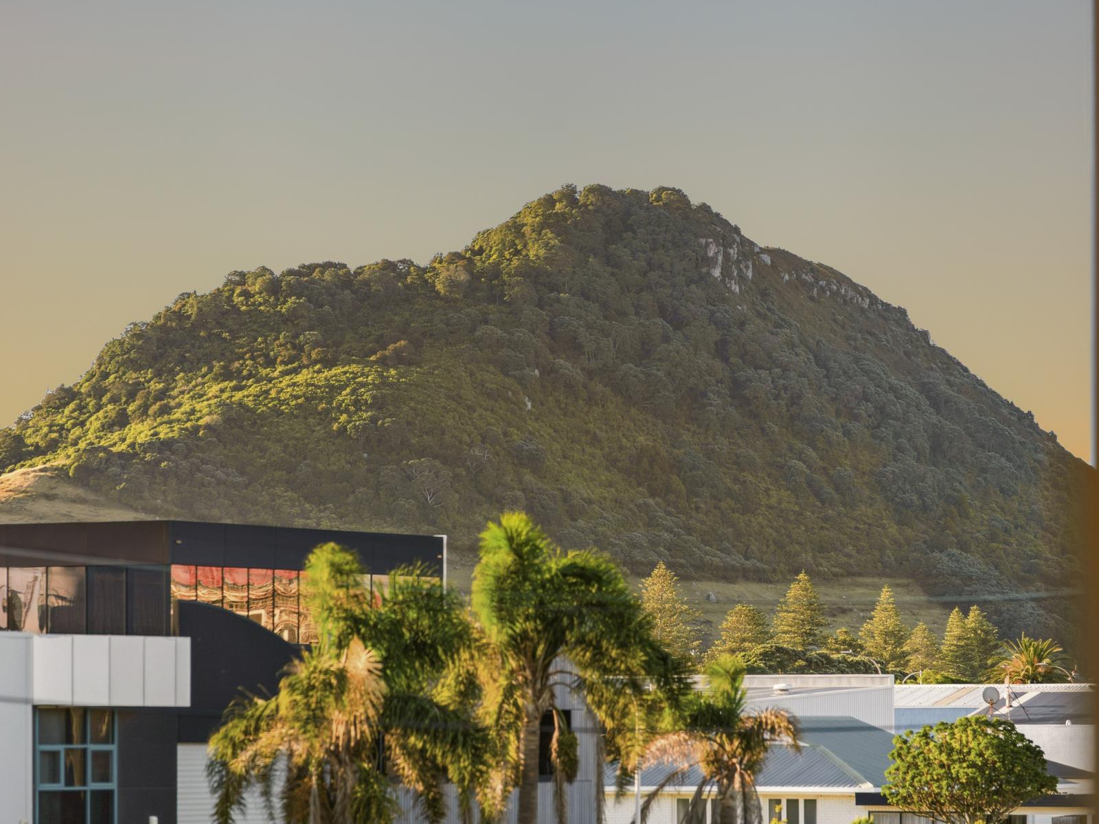 31 Tawa Street, Mount Maunganui