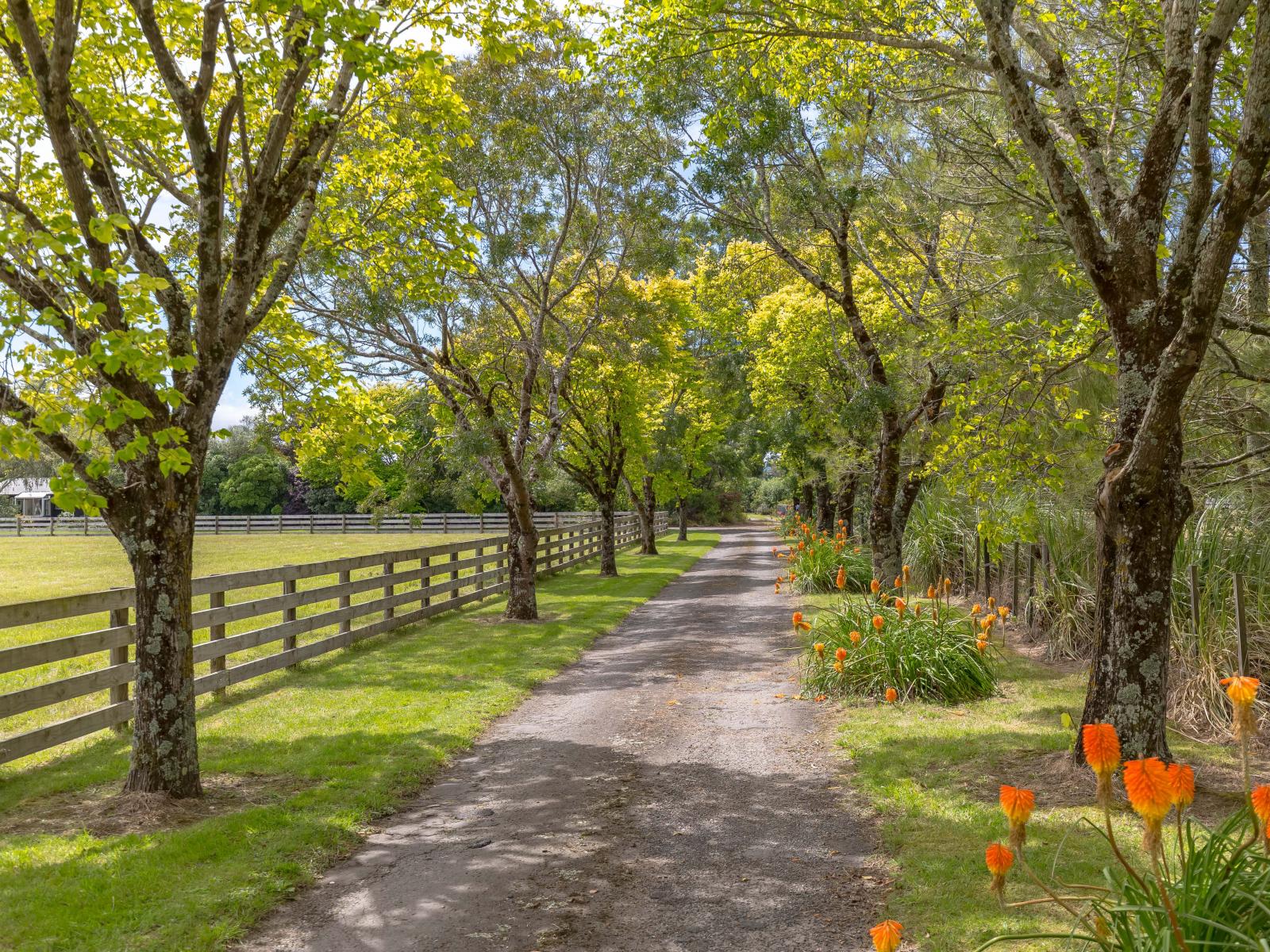 124 Loop Line, Masterton