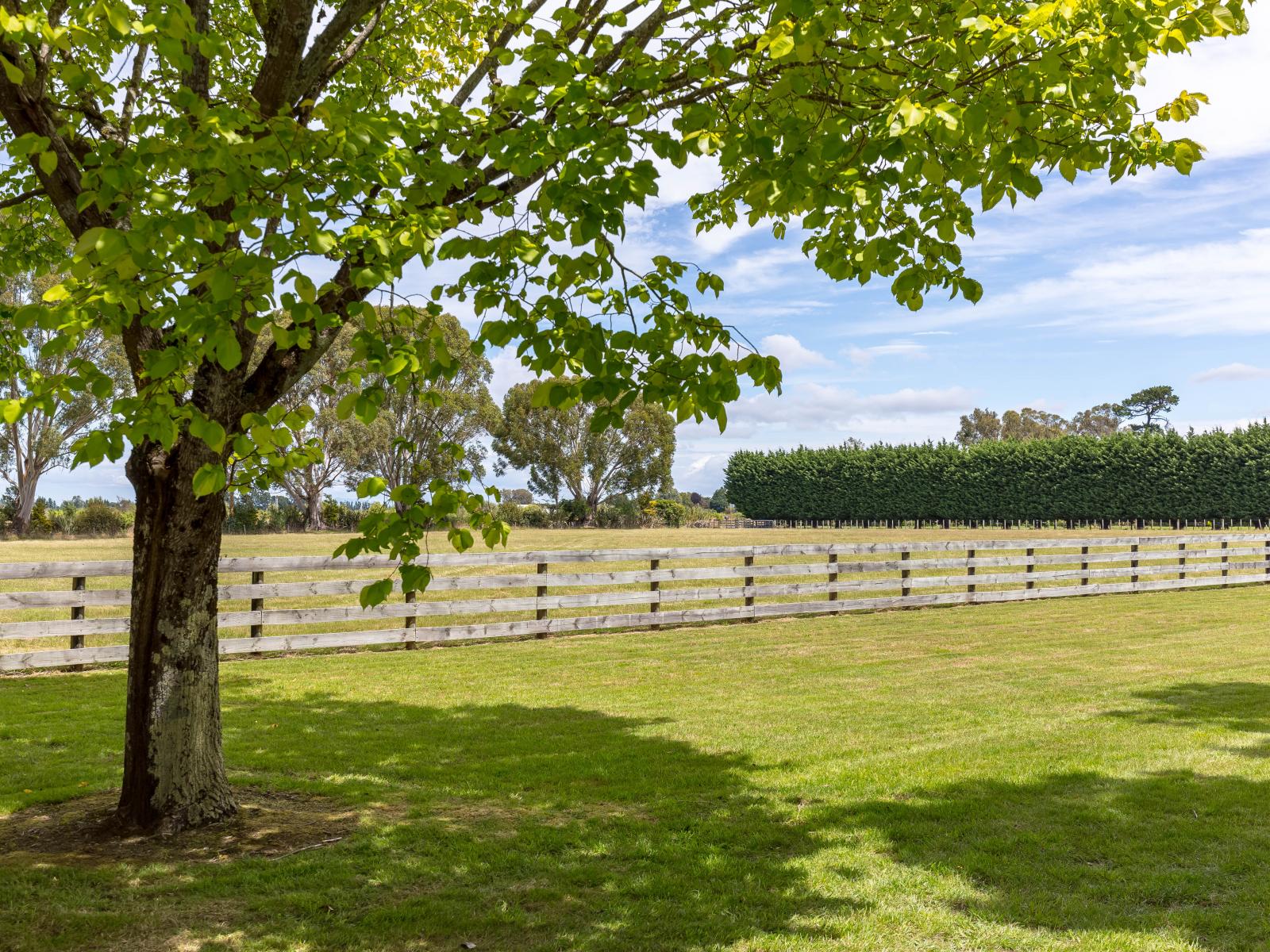 124 Loop Line, Masterton