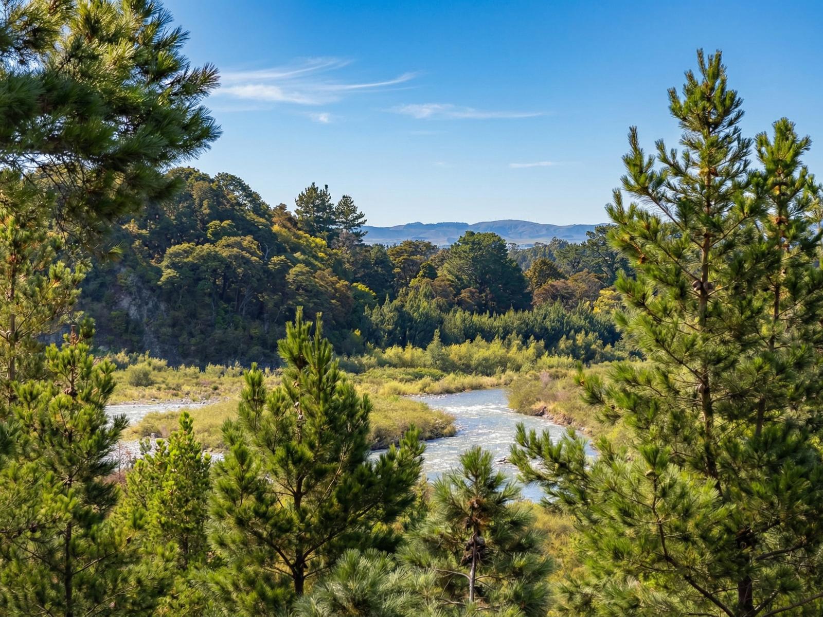 433A Waiohine Gorge Road, Carterton