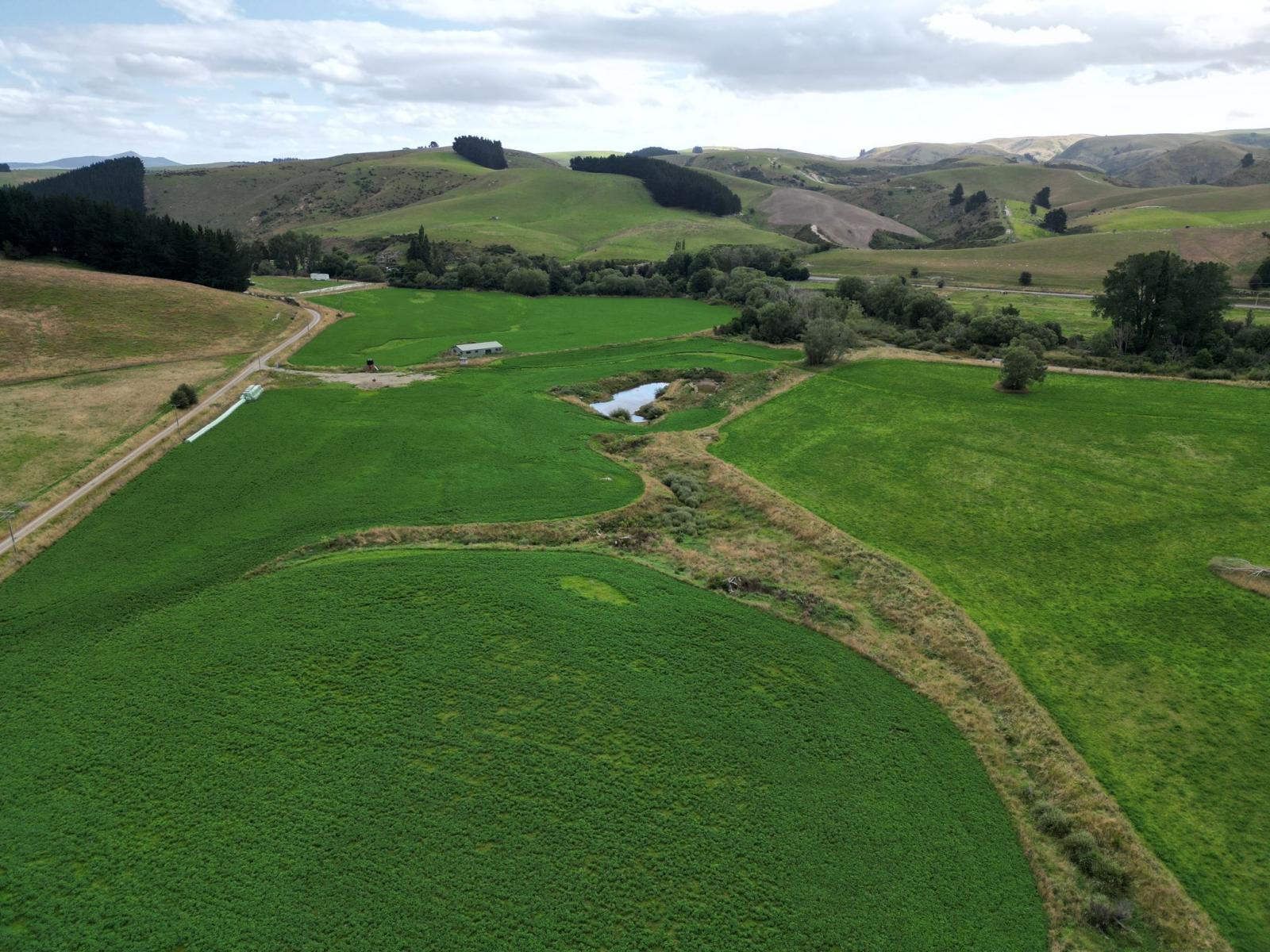 19 Shaw Road, Glenpark