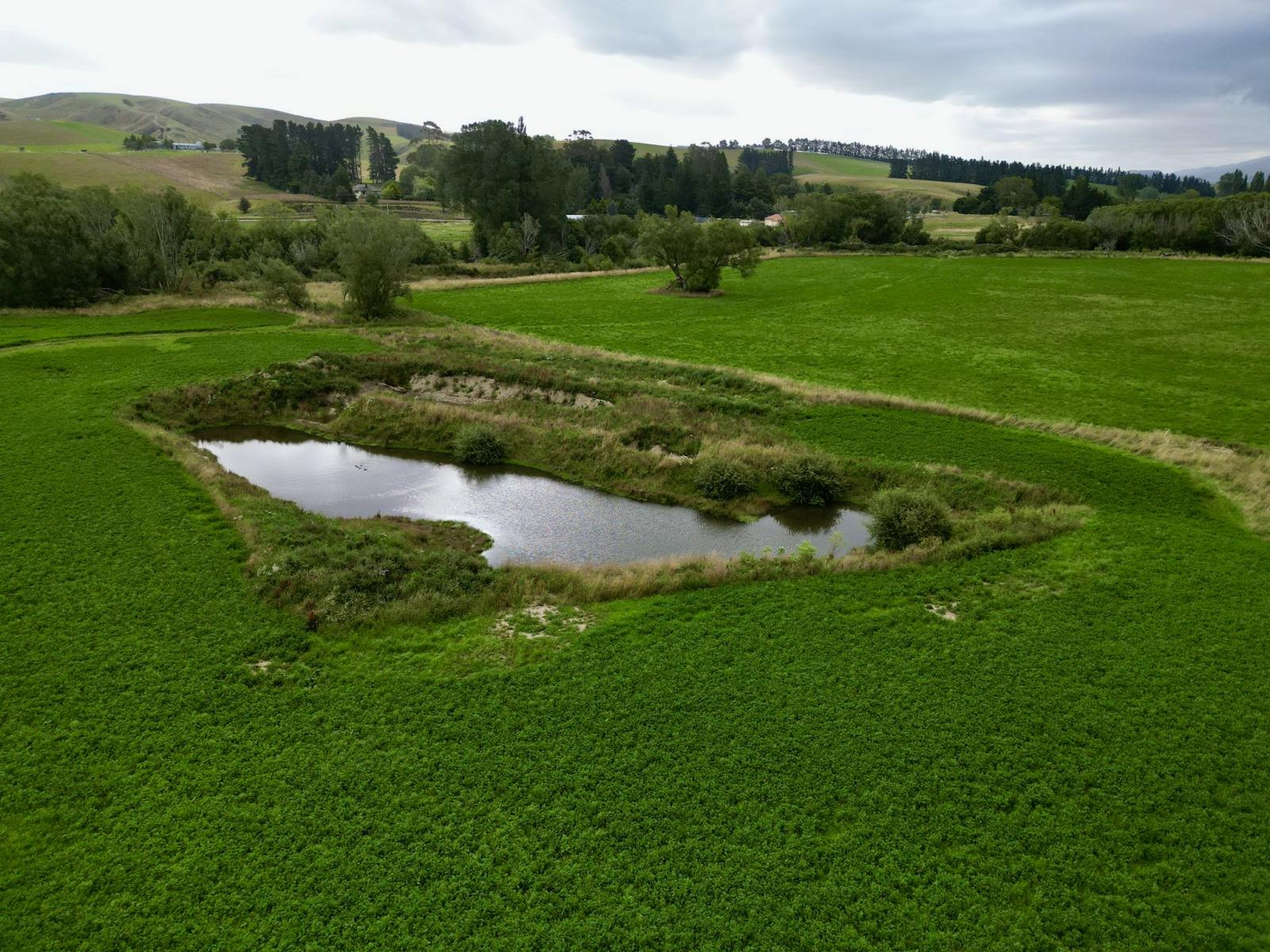 19 Shaw Road, Glenpark
