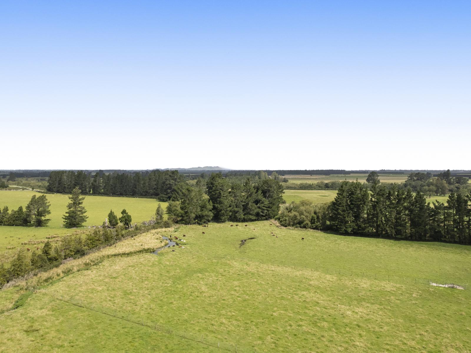 112 Mounseys Road, View Hill