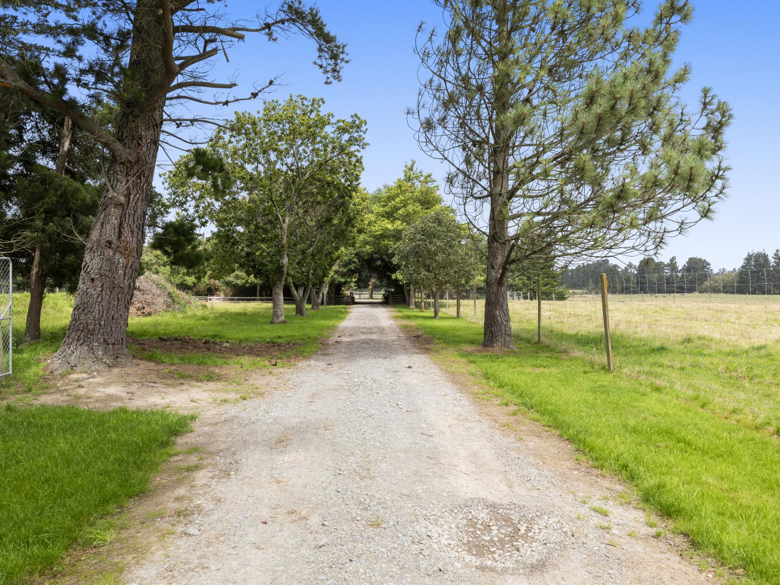 112 Mounseys Road, View Hill