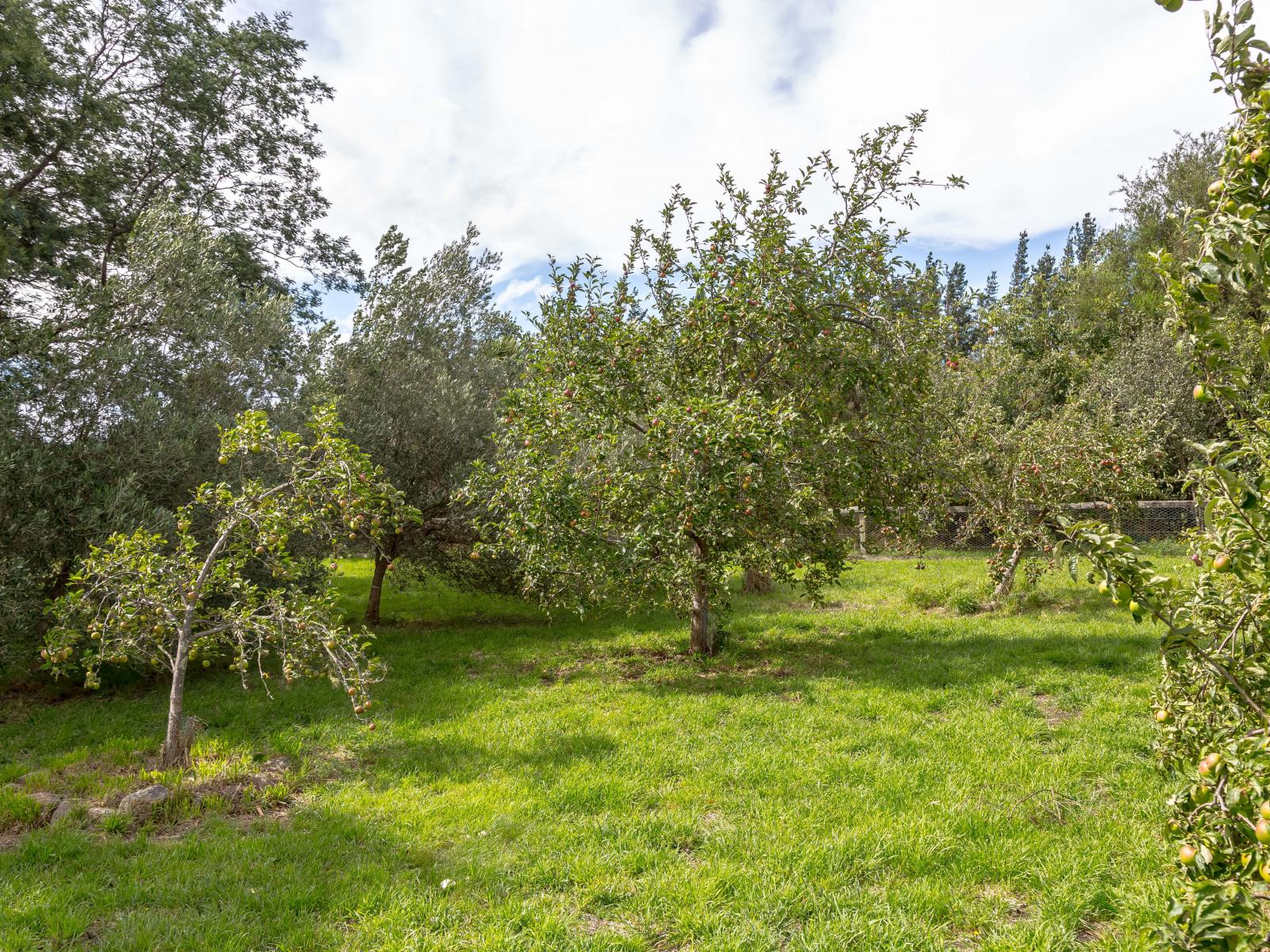 839B Chester Road, West Taratahi