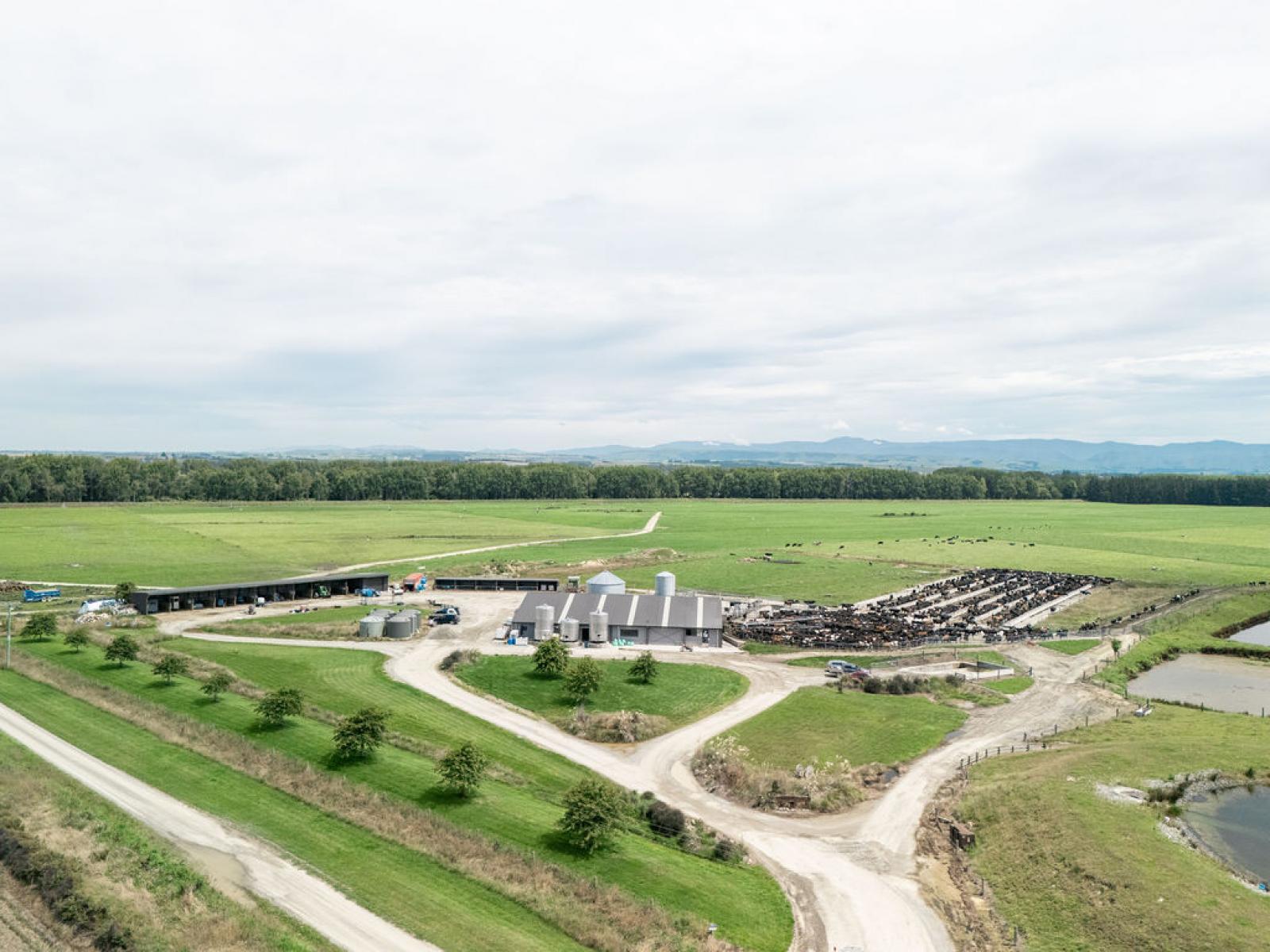 17 Young Road, Temuka