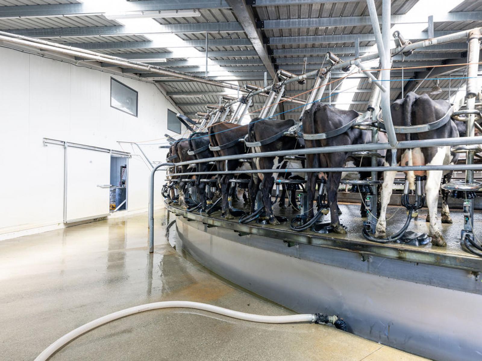 17 Young Road, Temuka