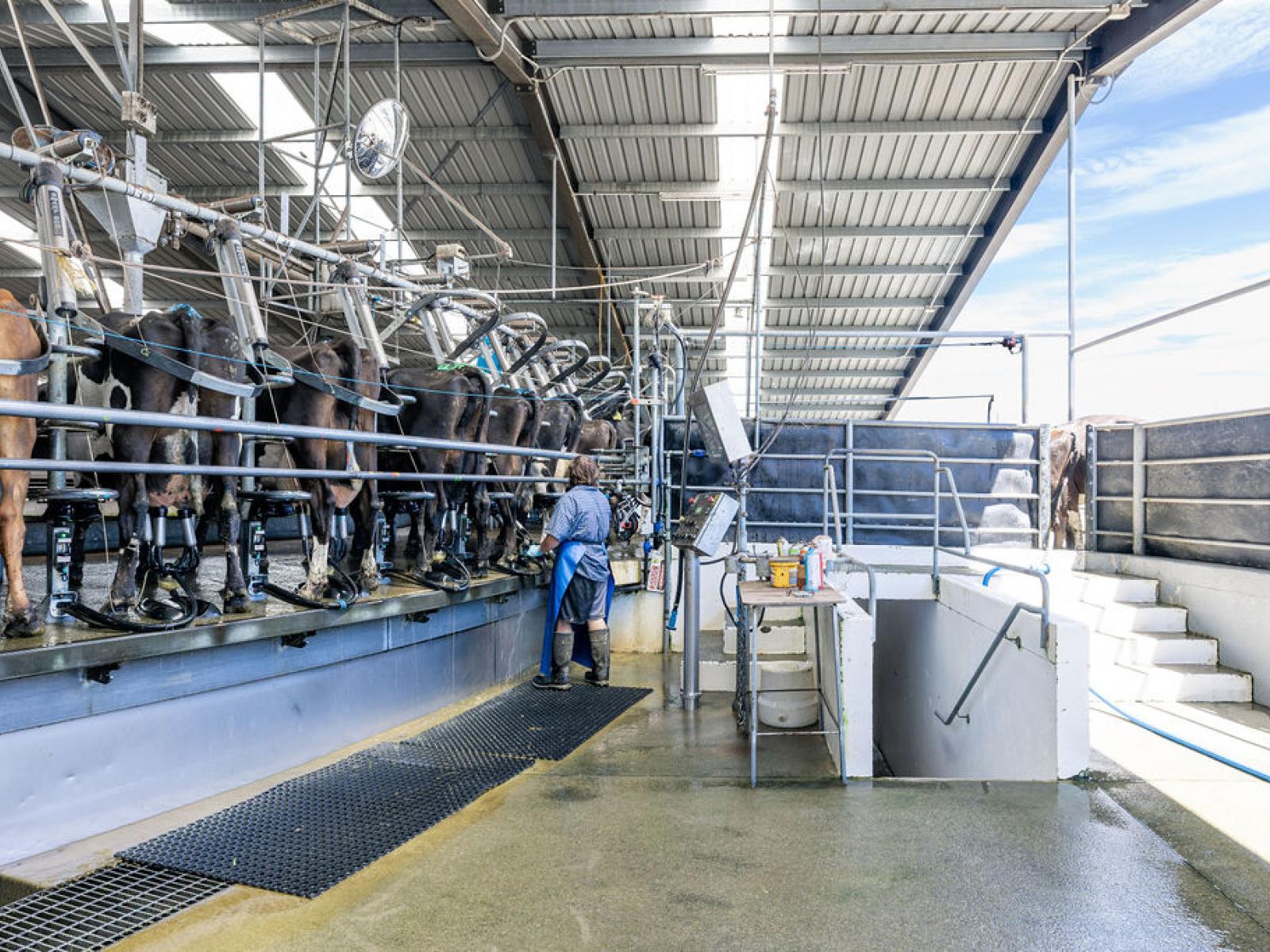 17 Young Road, Temuka