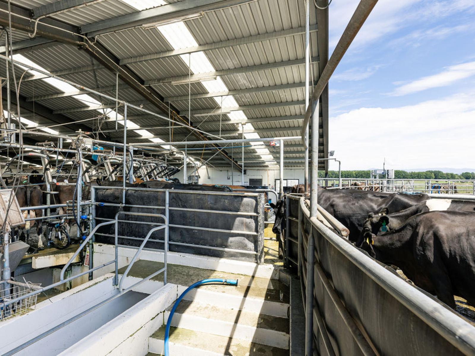 17 Young Road, Temuka