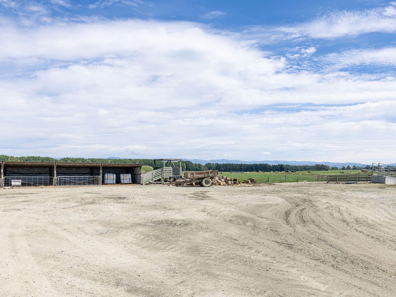 17 Young Road, Temuka