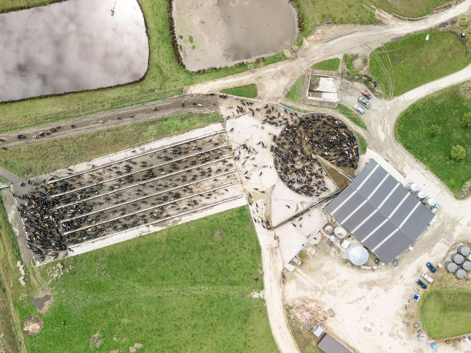 17 Young Road, Temuka