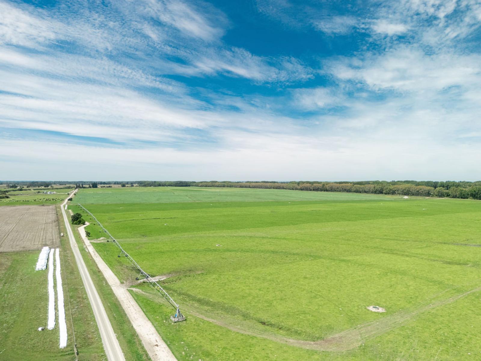 17 Young Road, Temuka