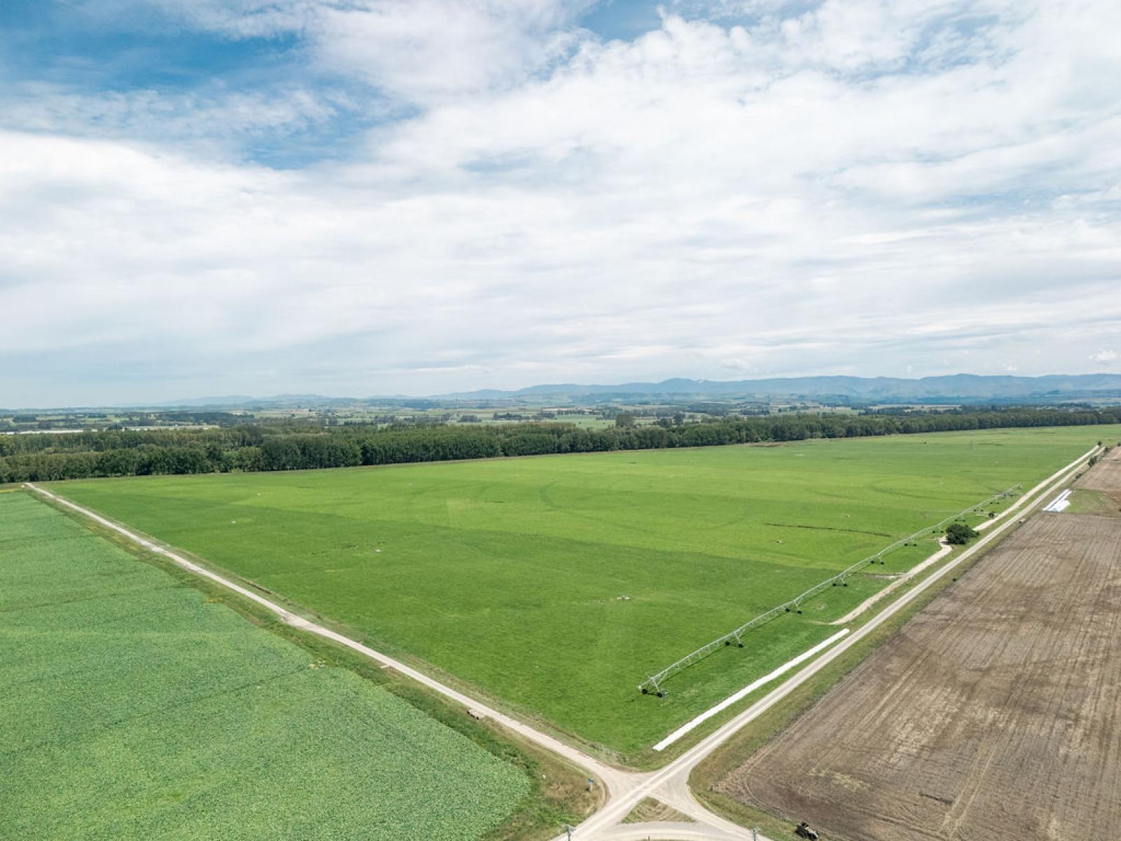 17 Young Road, Temuka