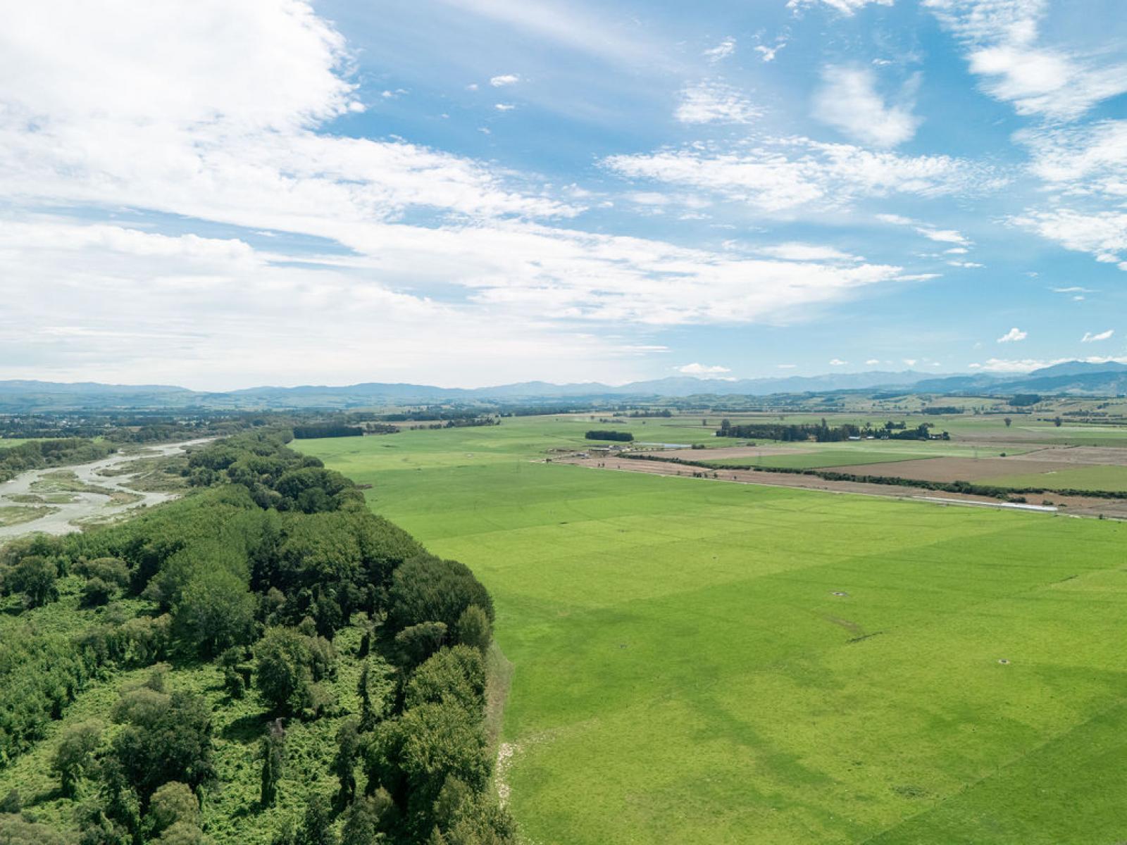 17 Young Road, Temuka