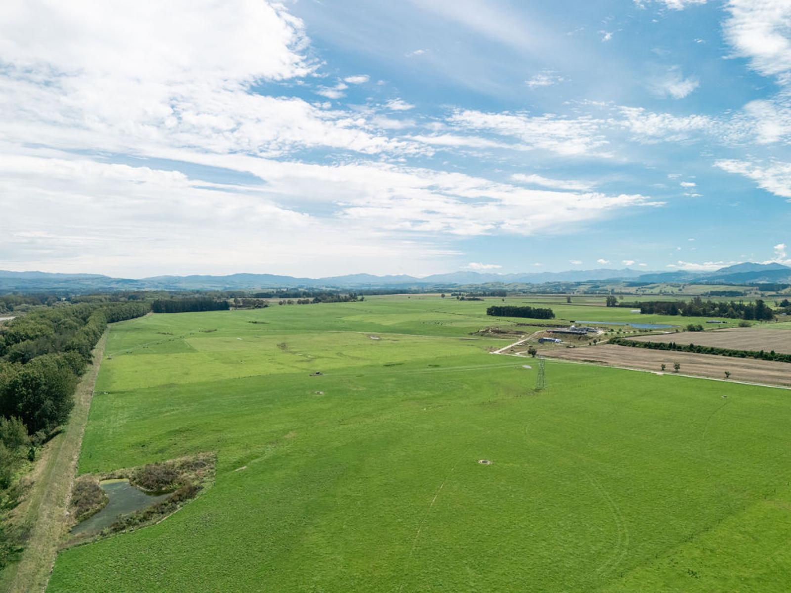 17 Young Road, Temuka