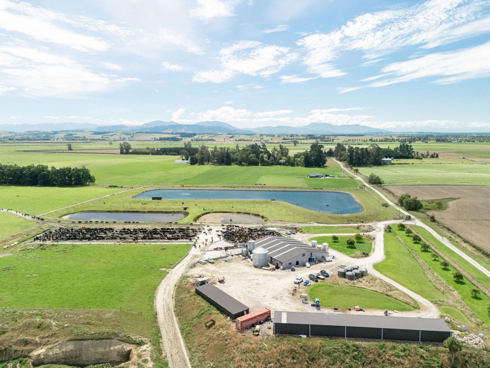 17 Young Road, Temuka