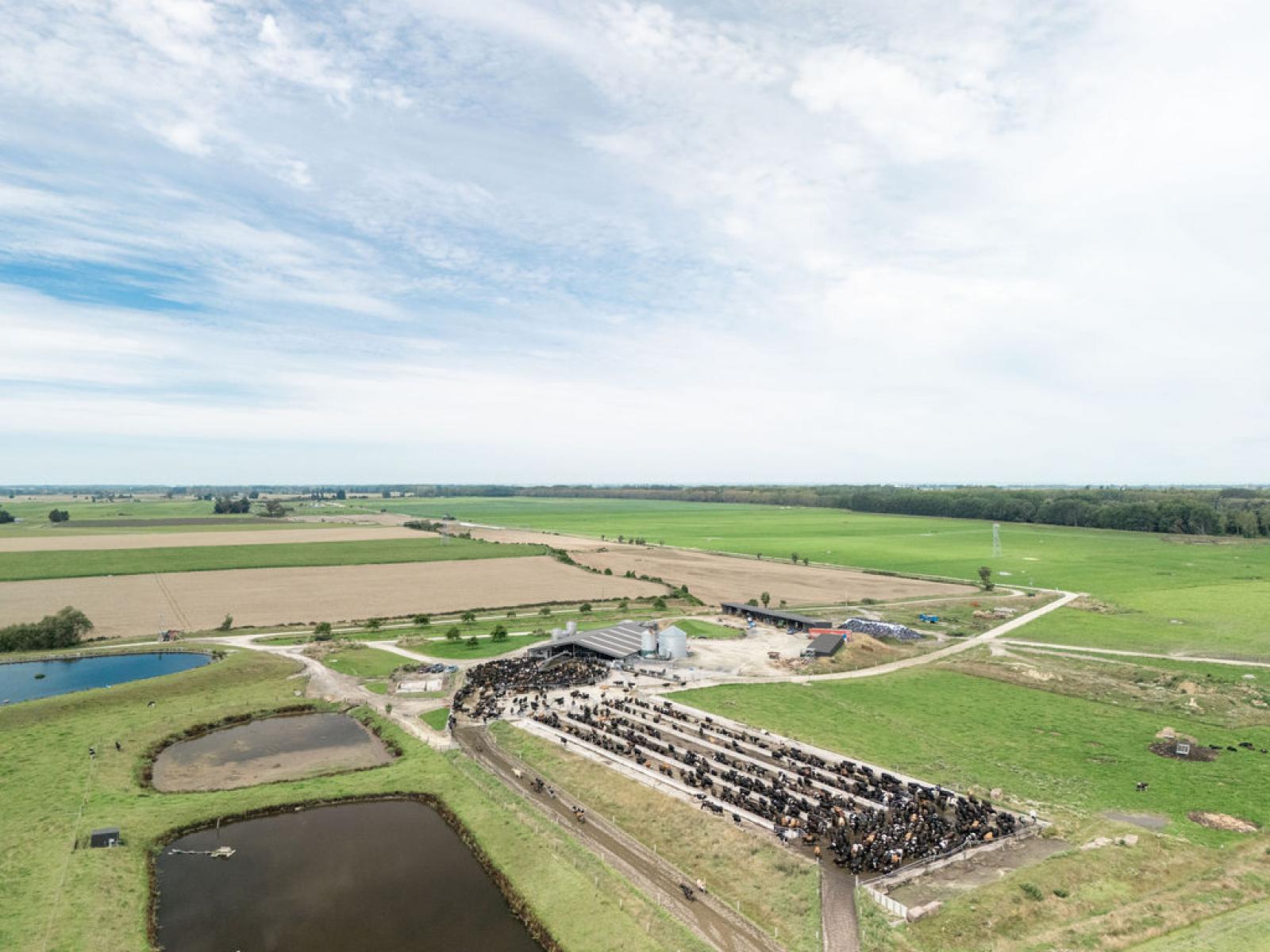 17 Young Road, Temuka