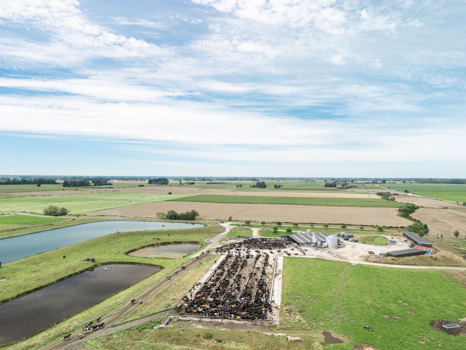 17 Young Road, Temuka