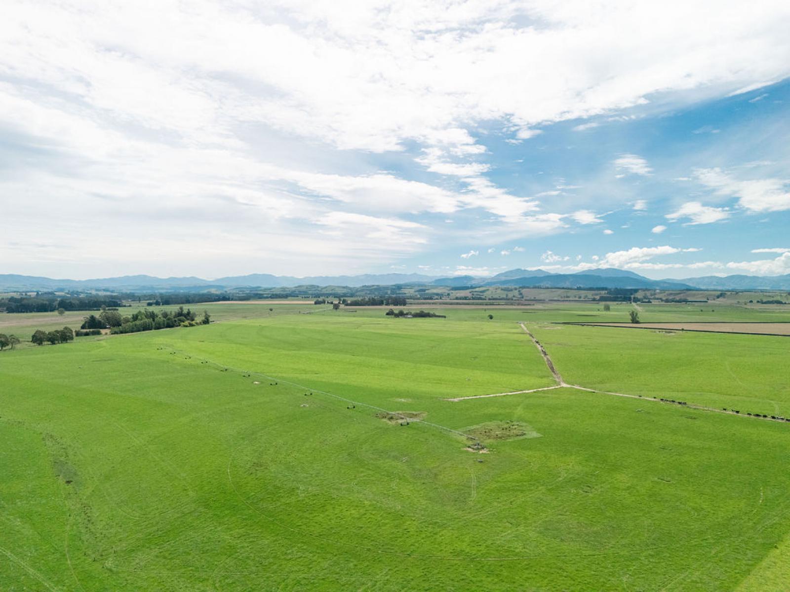 17 Young Road, Temuka