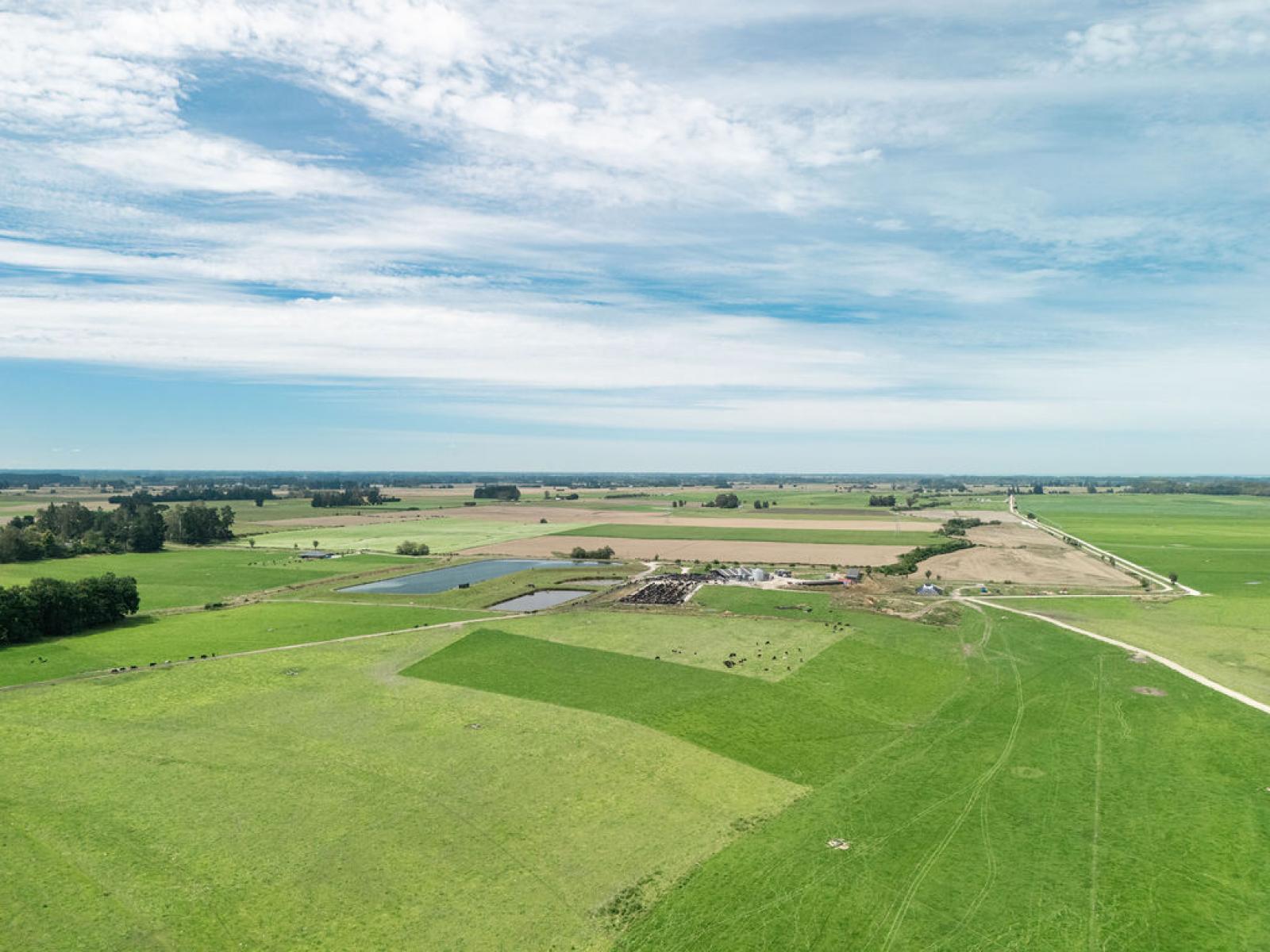 17 Young Road, Temuka