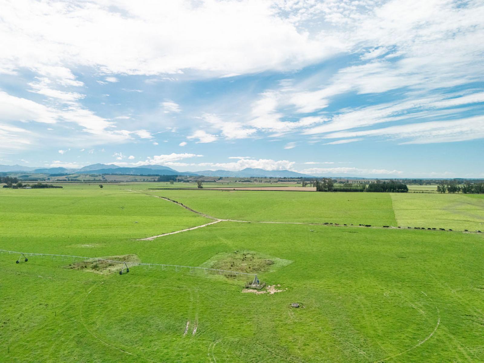 17 Young Road, Temuka