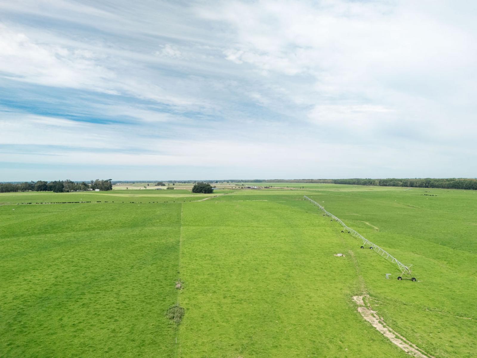 17 Young Road, Temuka