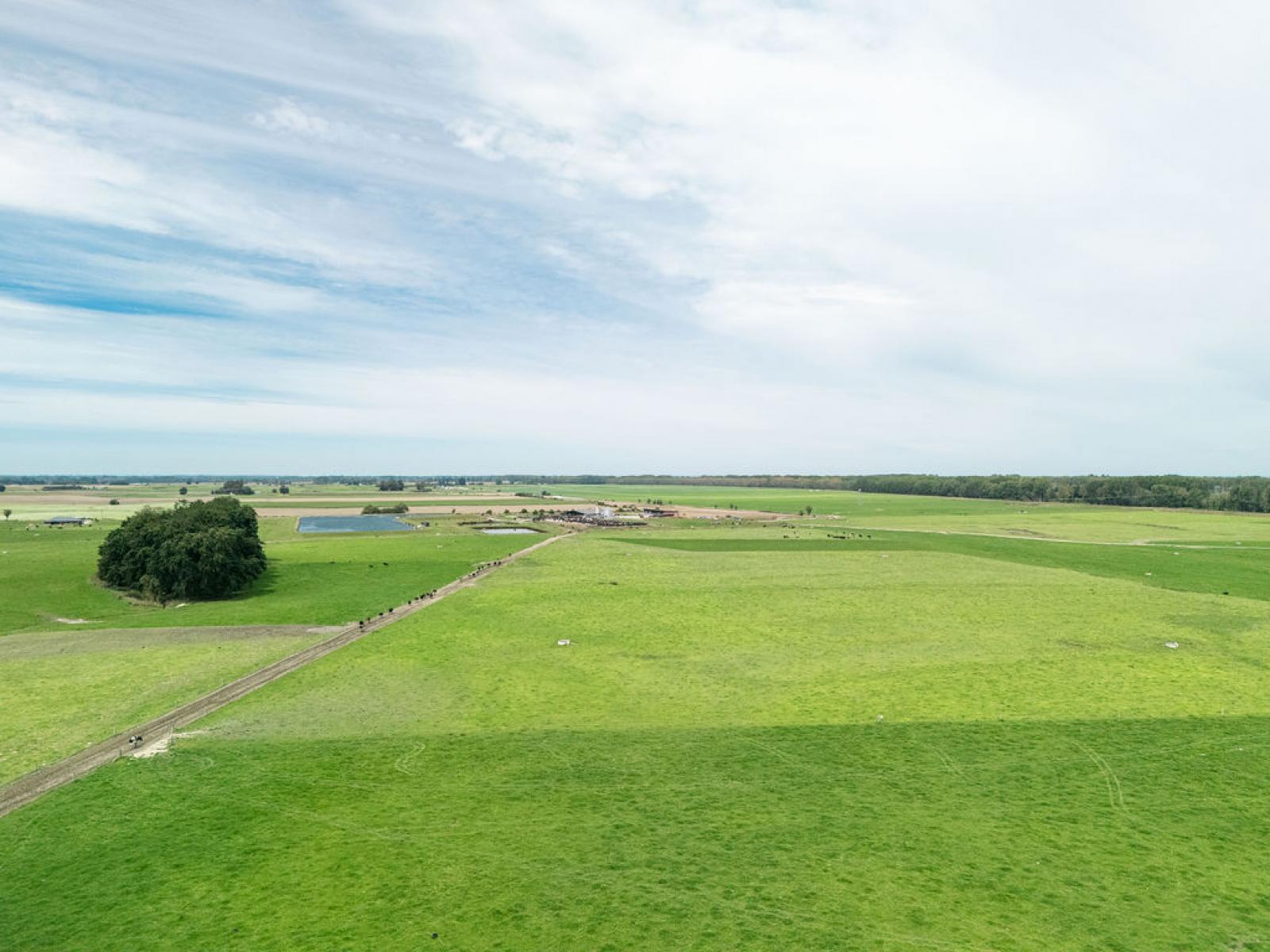 17 Young Road, Temuka