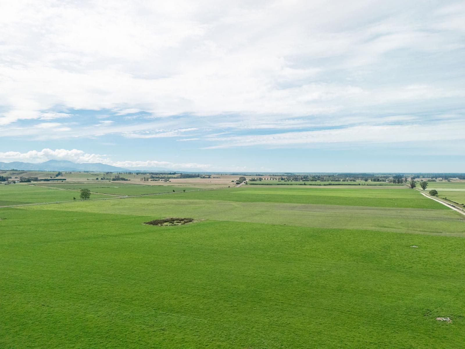 17 Young Road, Temuka