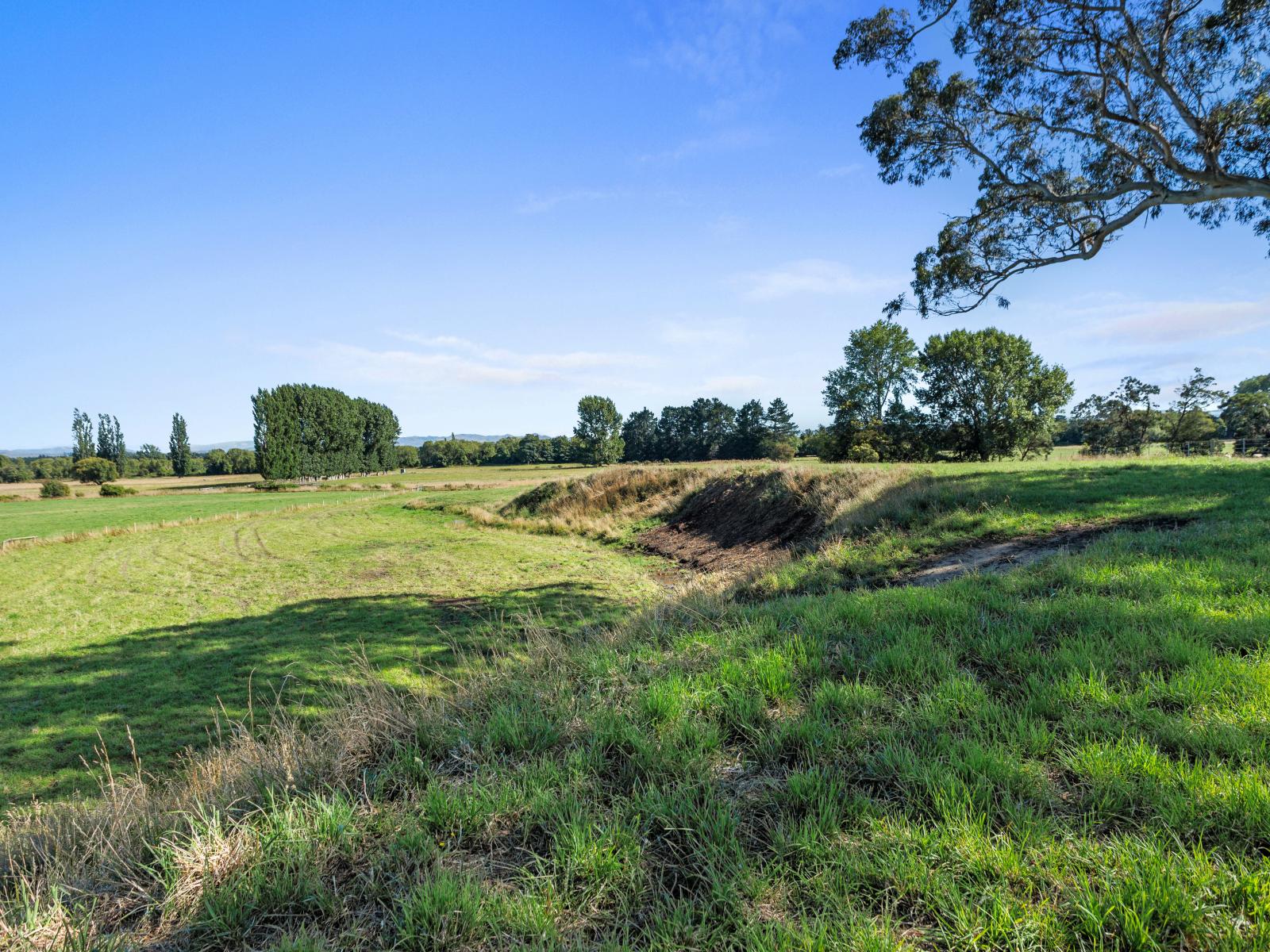 Lot 3, 238 Leithfield Road, Leithfield