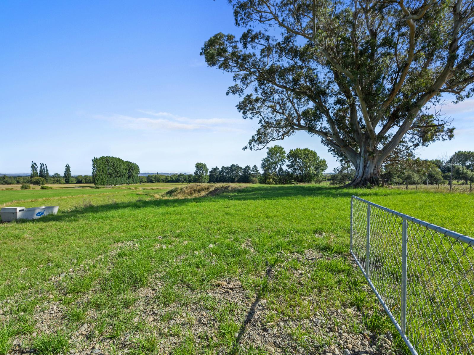 Lot 3, 238 Leithfield Road, Leithfield