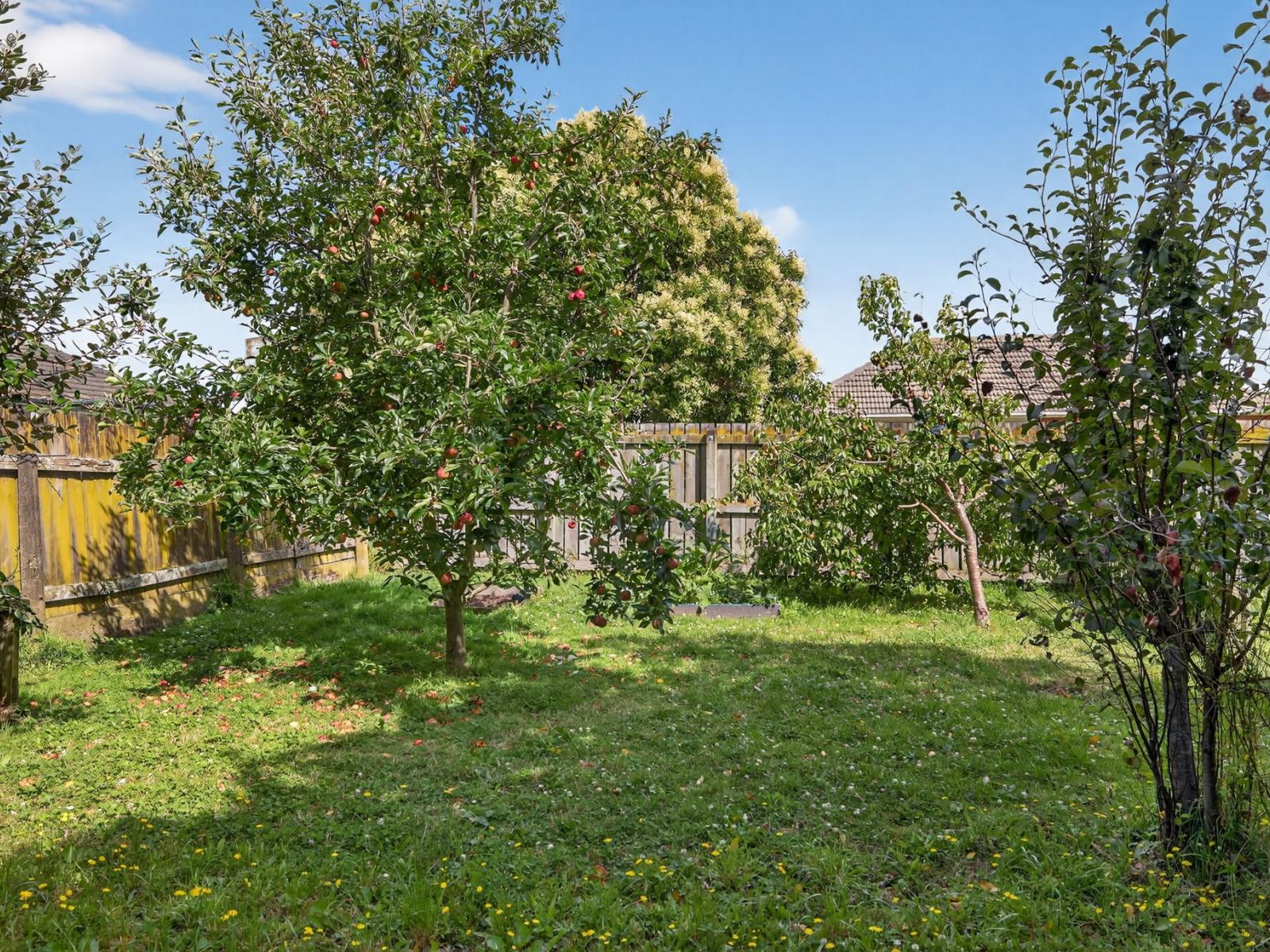 4 Renfrew Place, Highbury