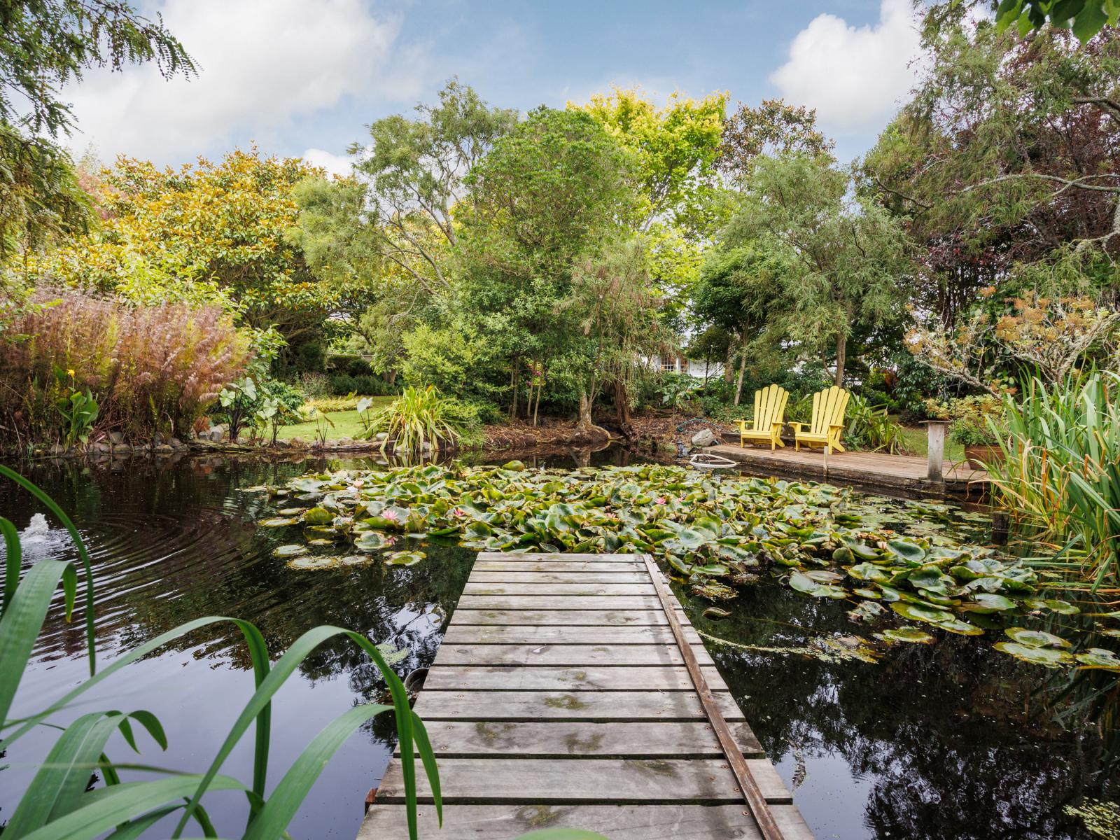 36 Forest Hill Road, Aokautere