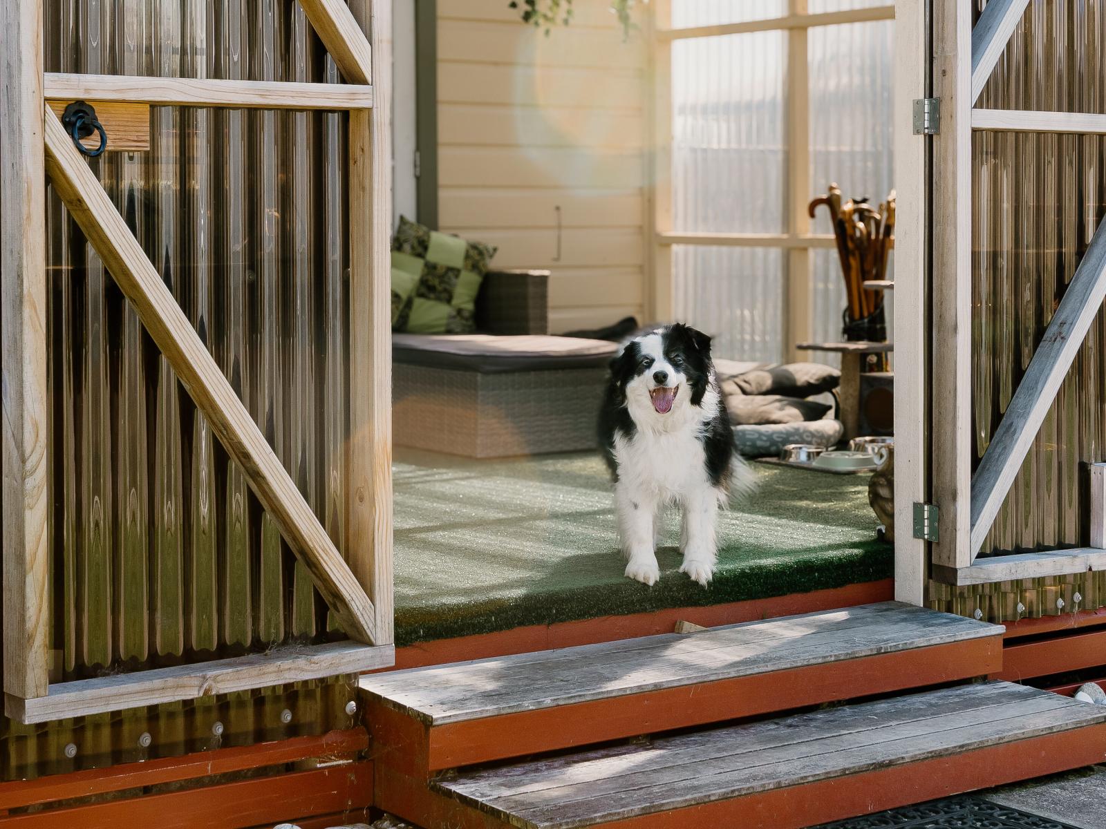 169 Romilly Street, Westport