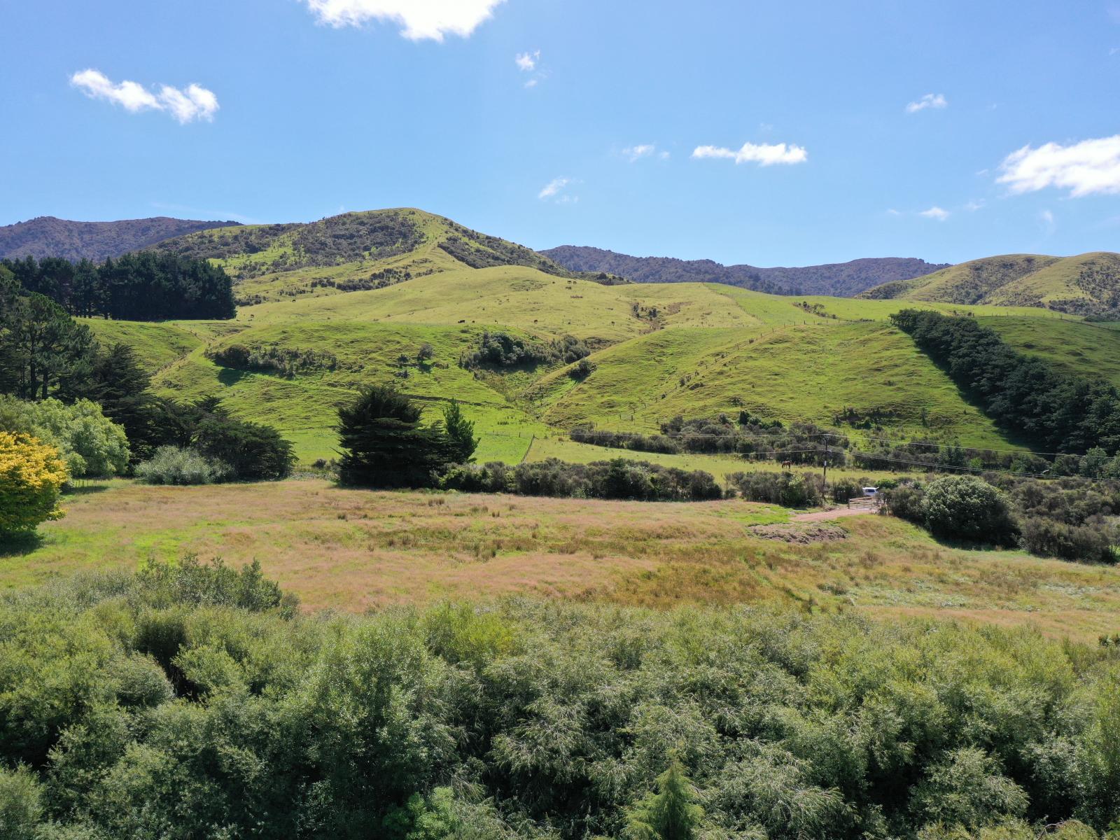409 Mangaroa Road, Eketahuna