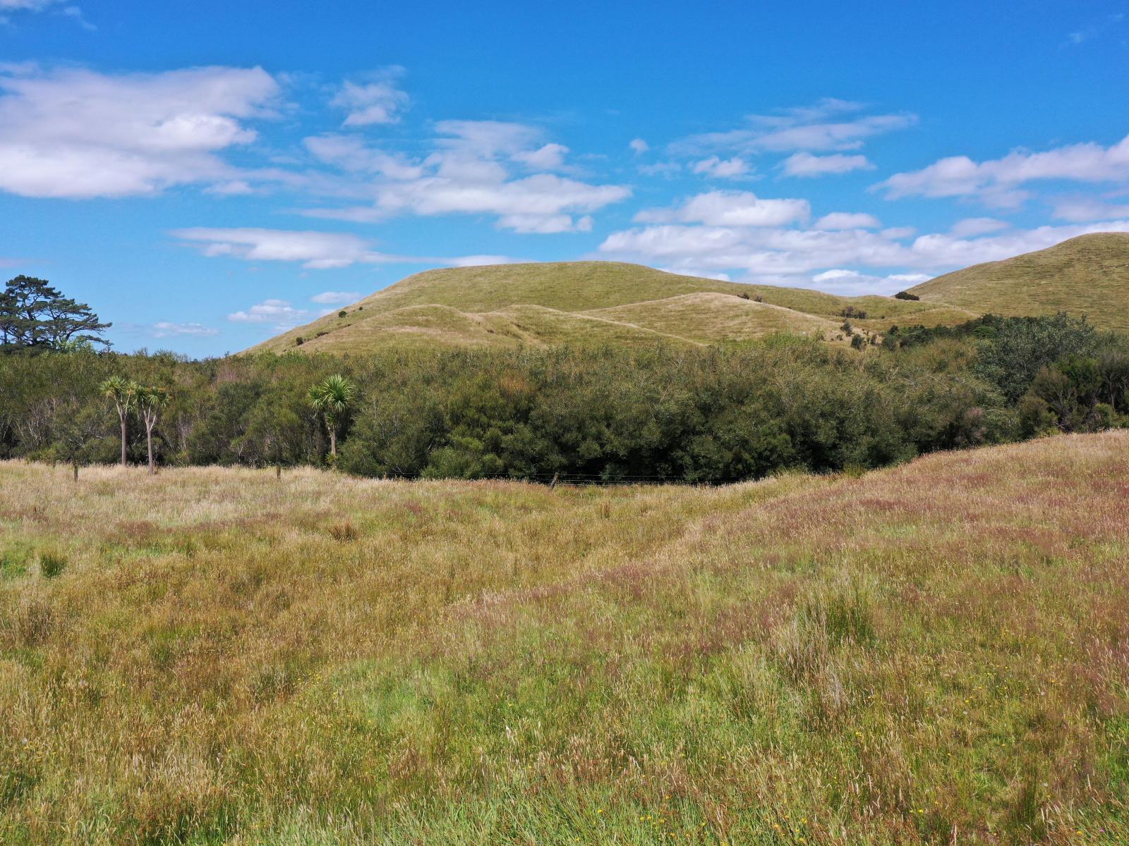 409 Mangaroa Road, Eketahuna