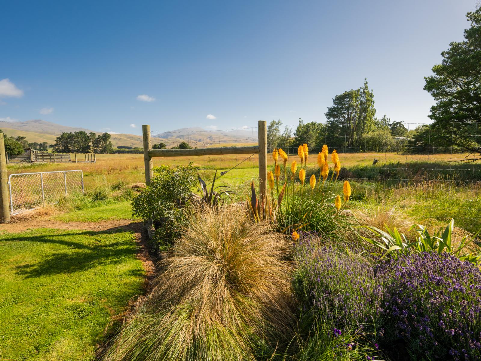 359 Glassford Road, Drybread