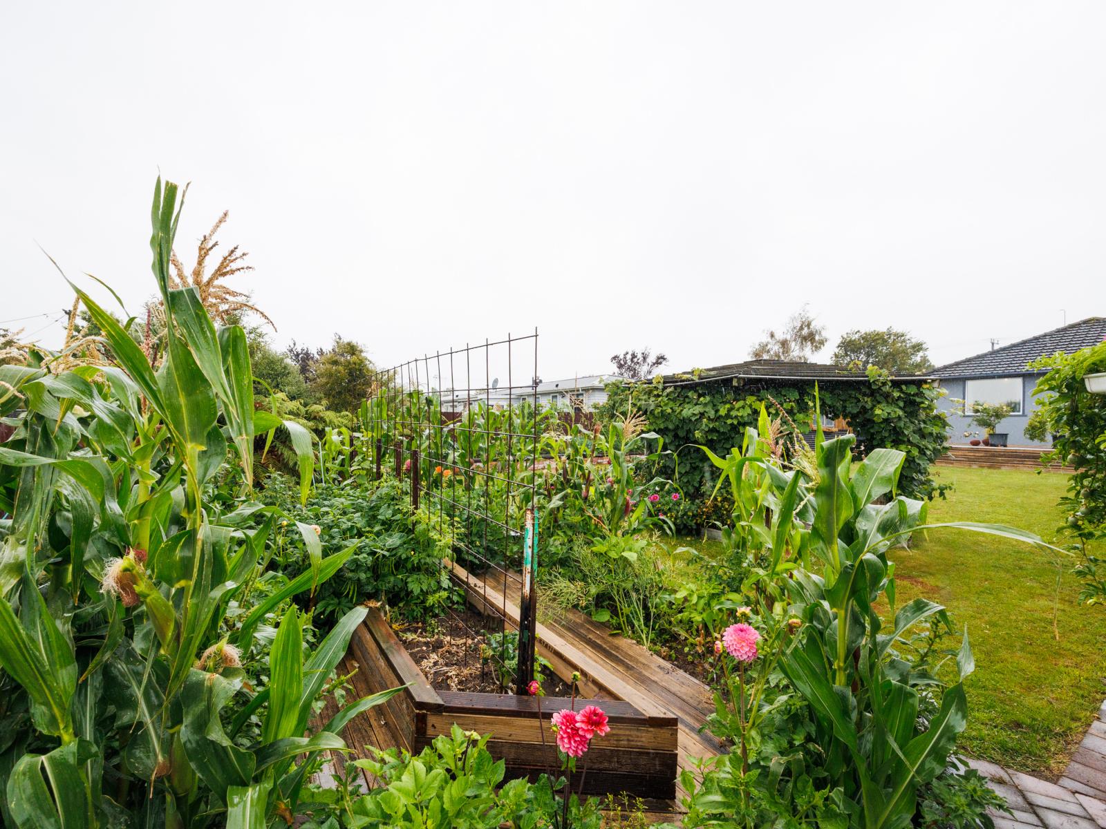 30 Pharazyn Street, Feilding