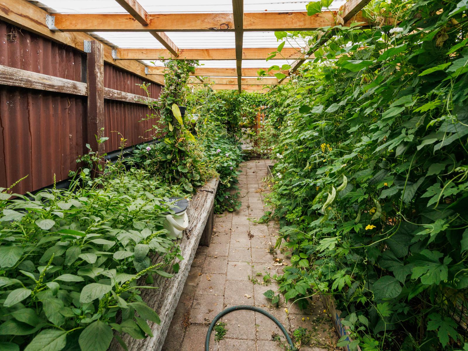 30 Pharazyn Street, Feilding